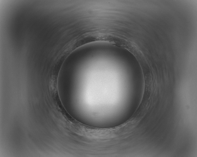 X0000071350044200606261353