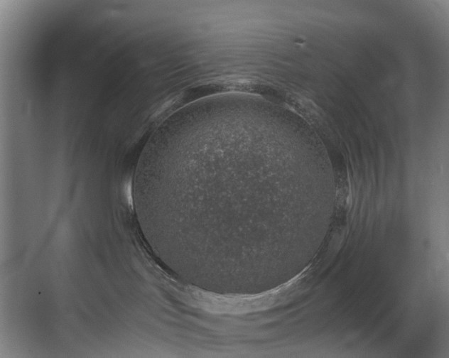 X0000071350047200606261353