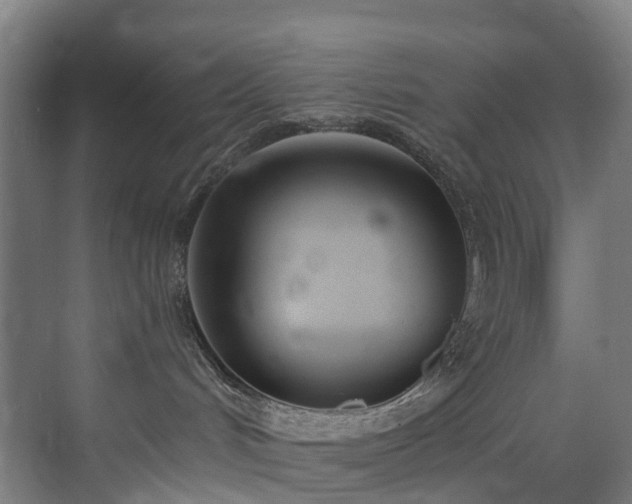 X0000071350048200606261353