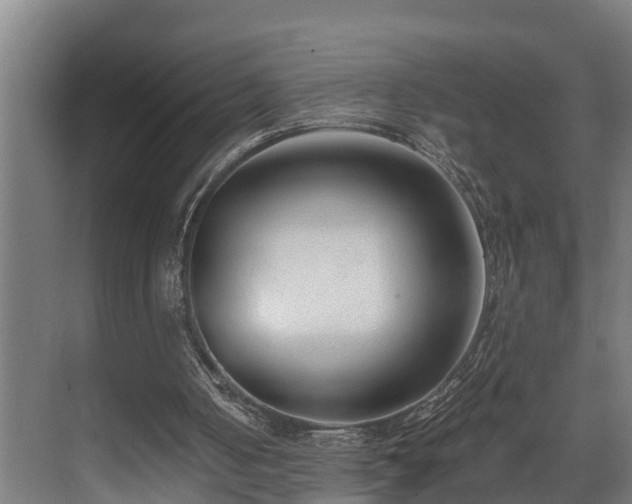 X0000071350050200606261352