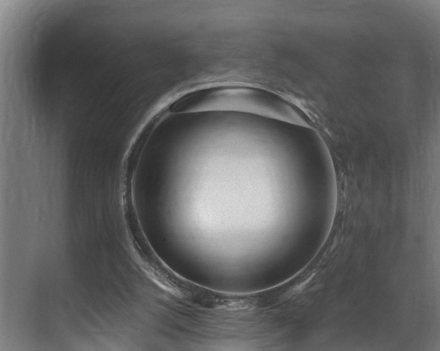 X0000071350056200606261352