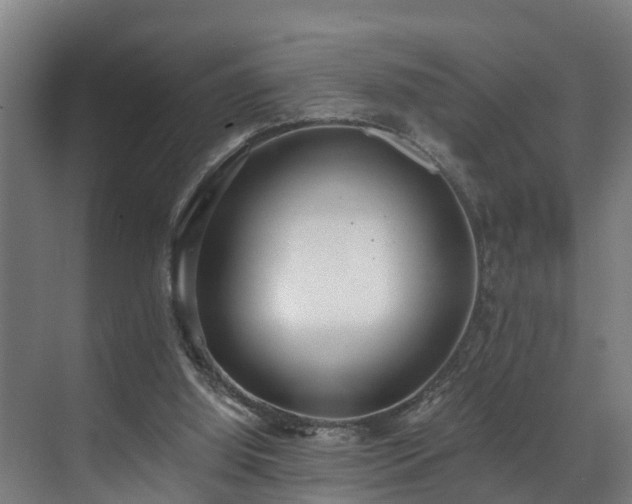 X0000071350060200606261352