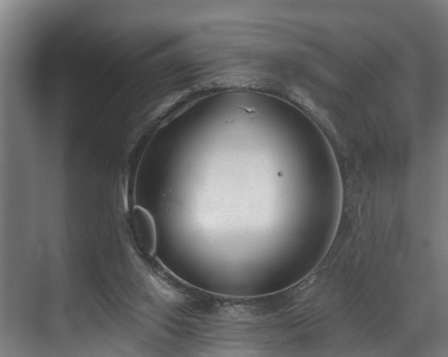 X0000071350062200606261352