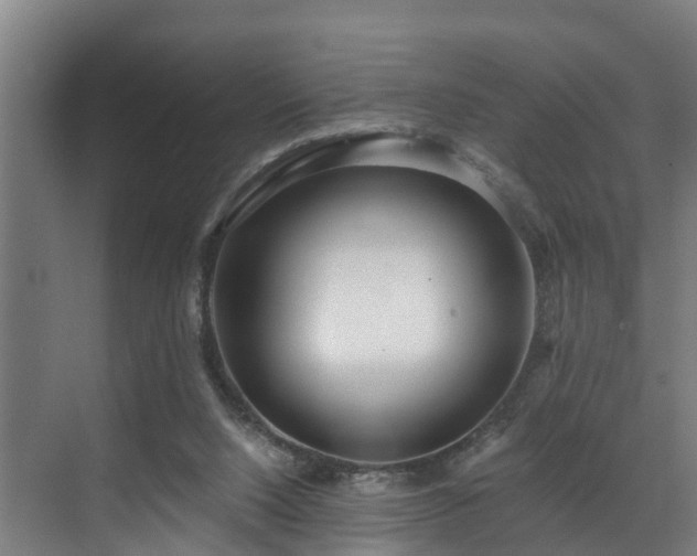 X0000071350064200606261352