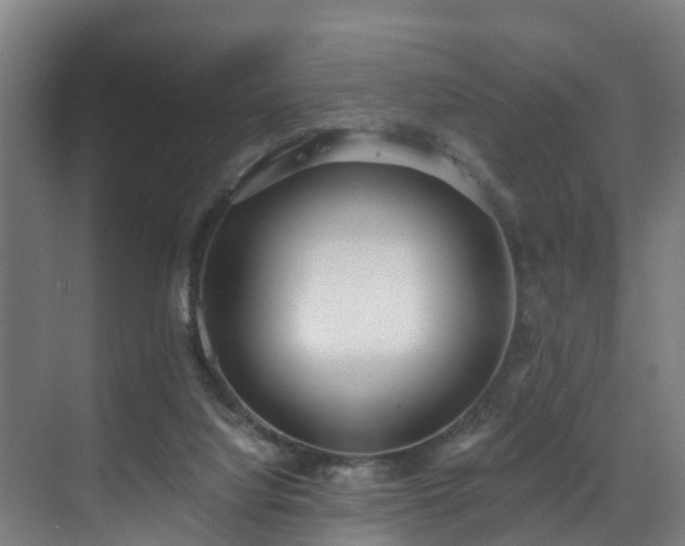 X0000071350068200606261352