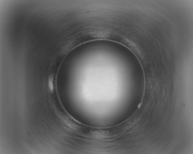 X0000071350069200606261352