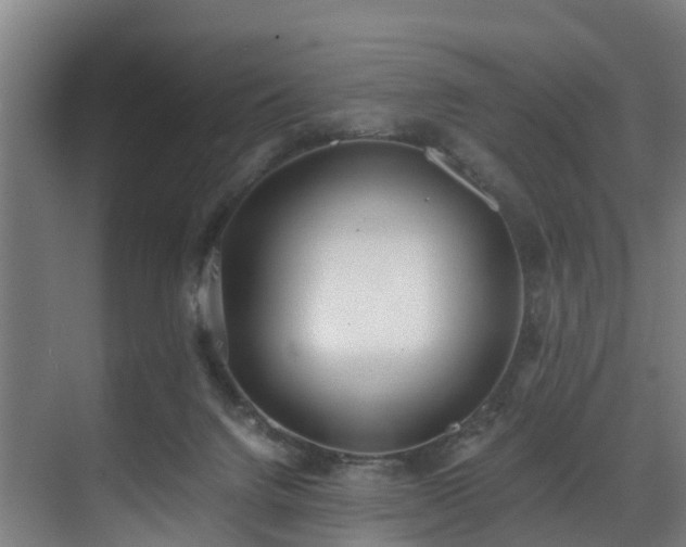 X0000071350072200606261352