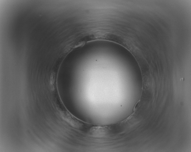 X0000071350082200606261353