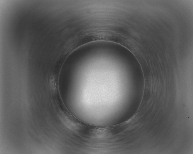 X0000071350086200606261353