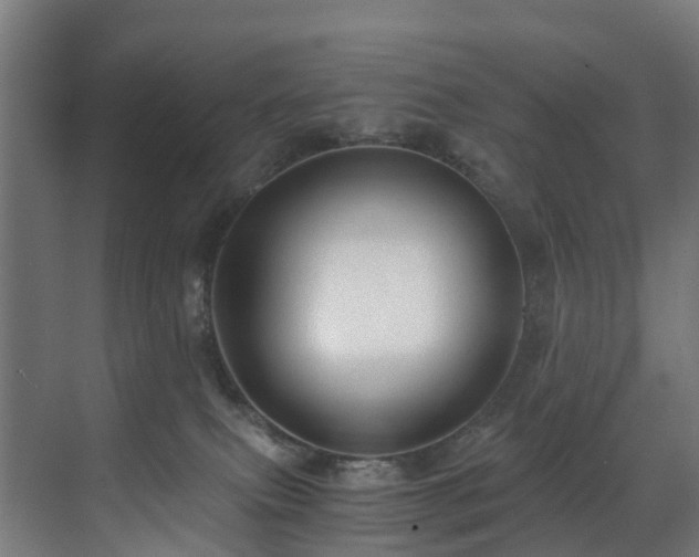 X0000071350087200606261353