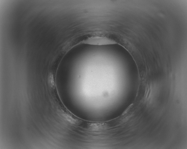 X0000071350089200606261353