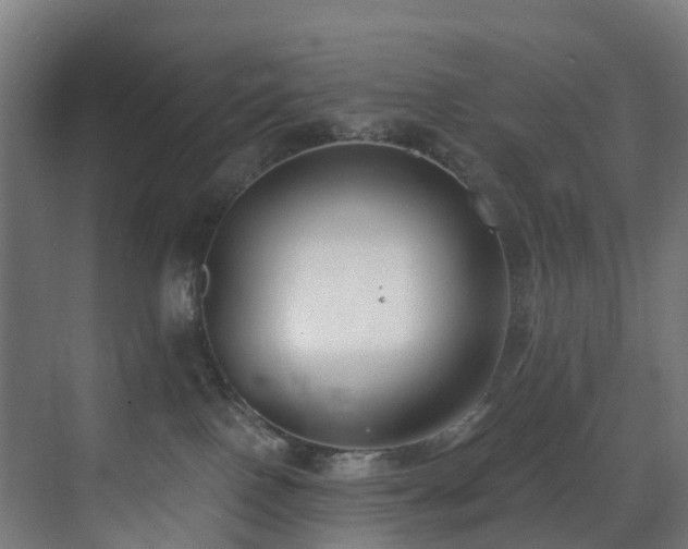 X0000071350090200606261353