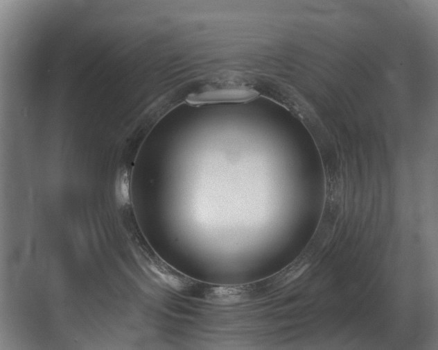 X0000071350095200606261353