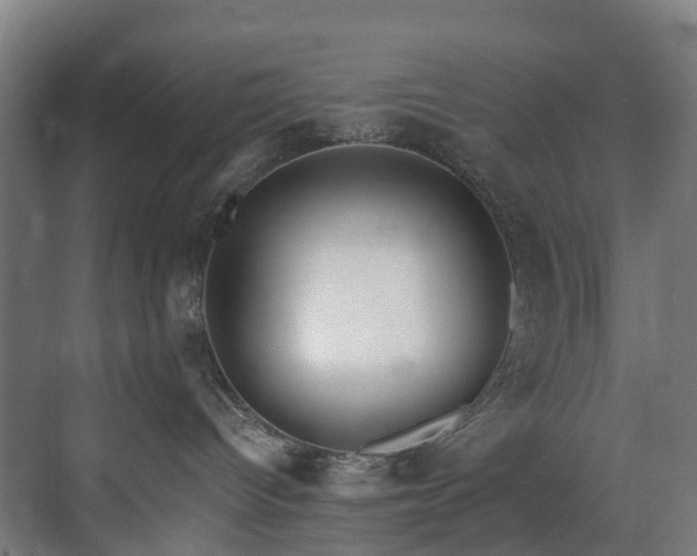 X0000071350096200606261353