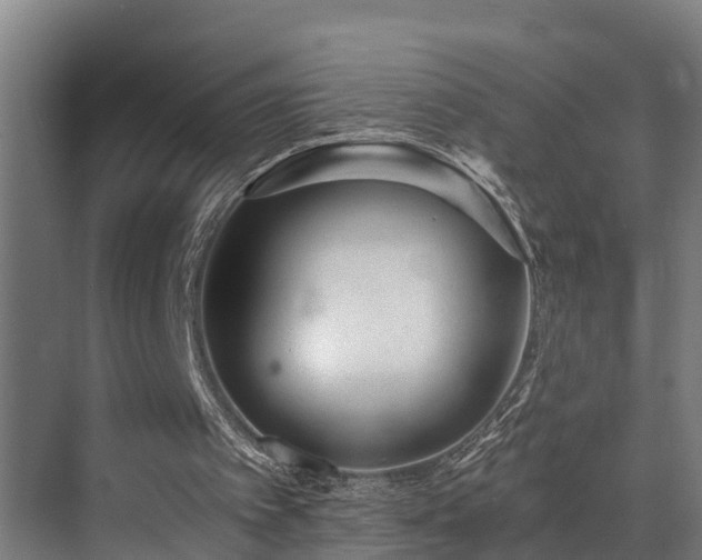 X0000071350097200606261352