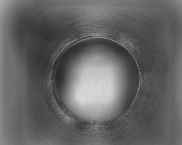 X0000071350098200606261352