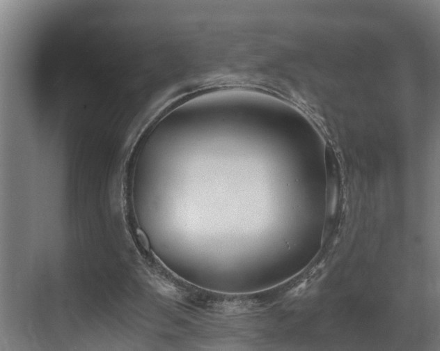 X0000071350103200606261352