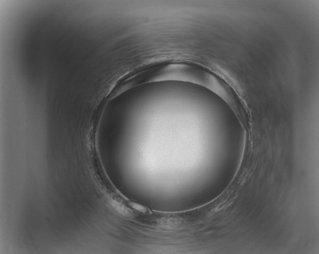 X0000071350105200606261352