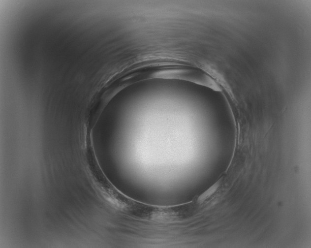 X0000071350109200606261352