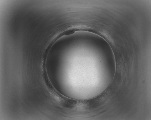 X0000071350111200606261352