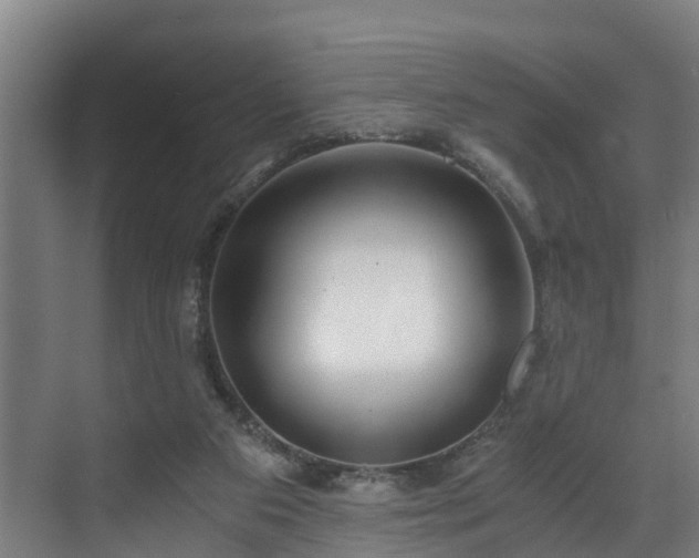 X0000071350113200606261352