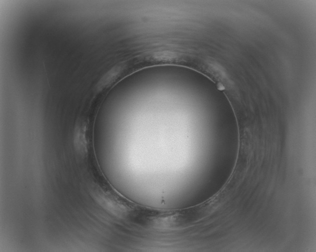 X0000071350116200606261352