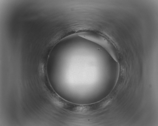 X0000071350117200606261352