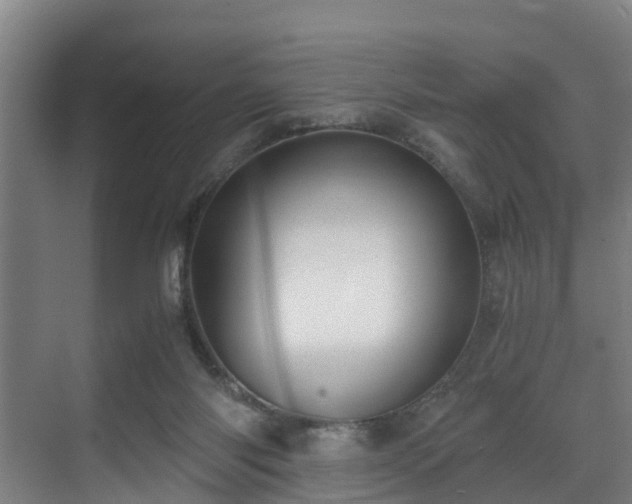 X0000071350118200606261352