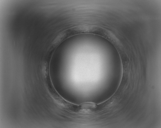 X0000071350119200606261352