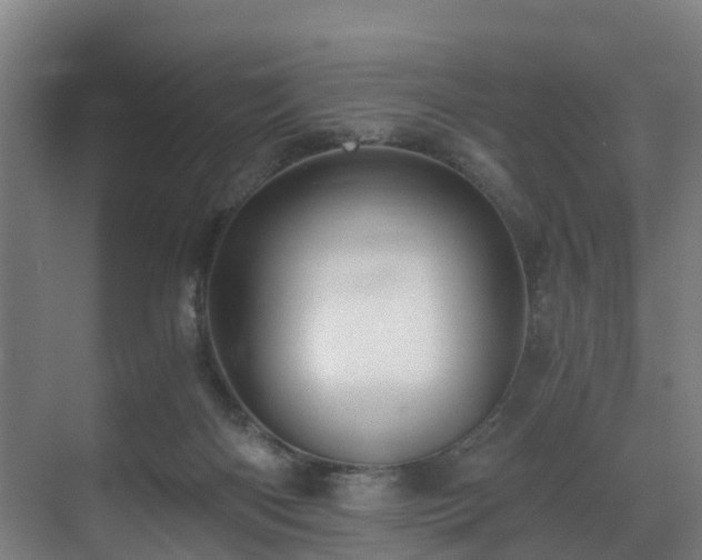 X0000071350122200606261352