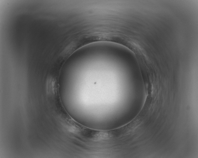 X0000071350123200606261352