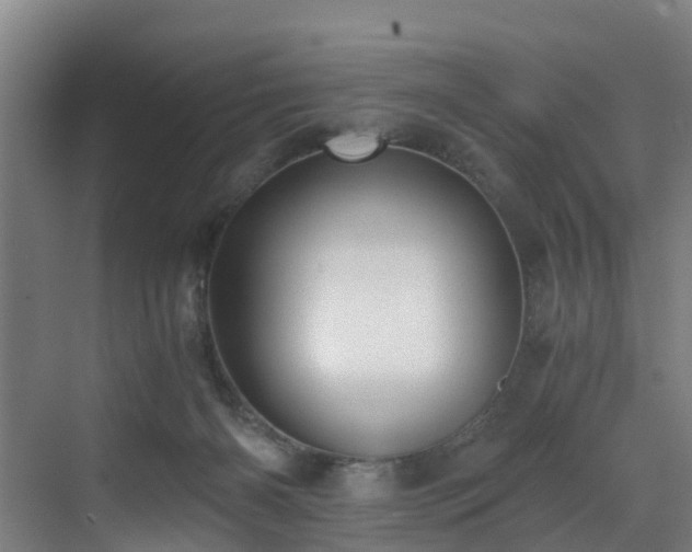 X0000071350126200606261352