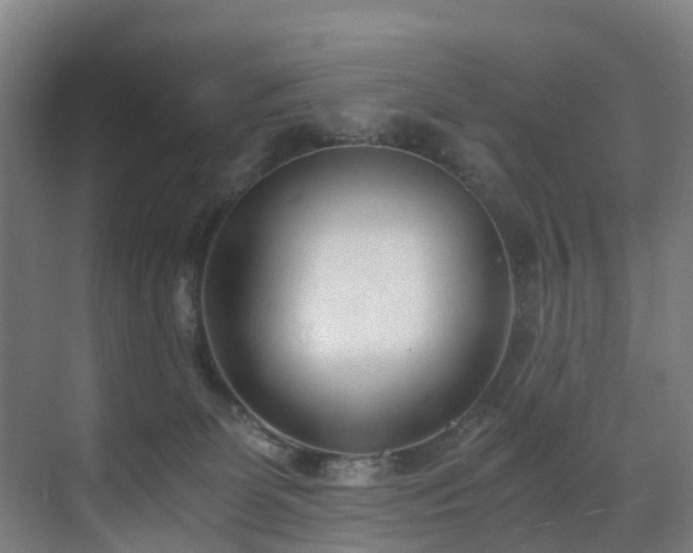 X0000071350131200606261351