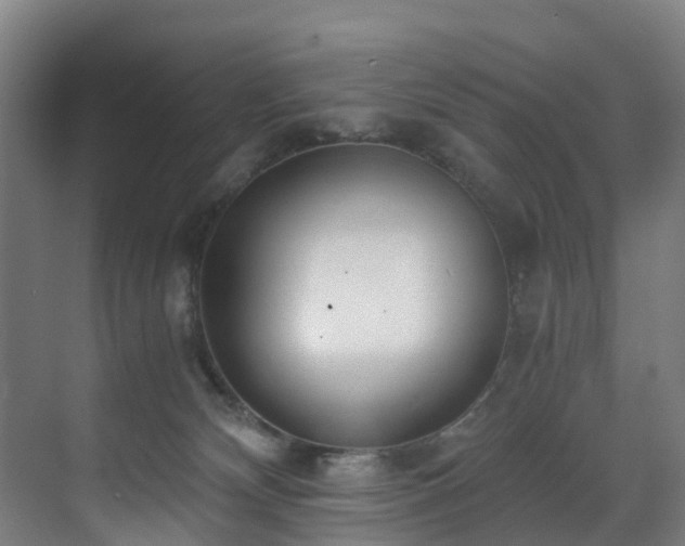 X0000071350132200606261351