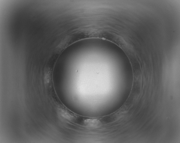 X0000071350133200606261351