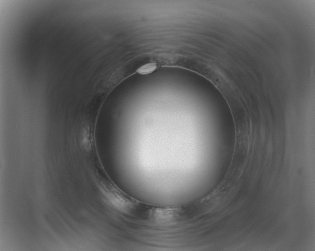 X0000071350134200606261351