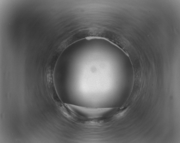 X0000071350137200606261351