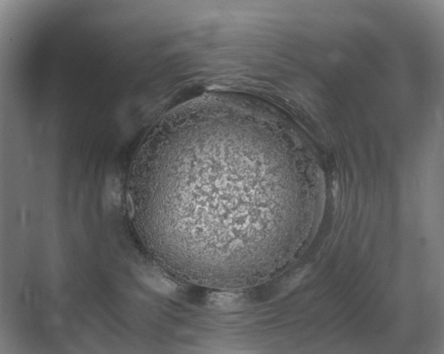 X0000071350139200606261351