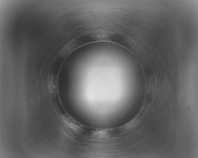 X0000071350140200606261351