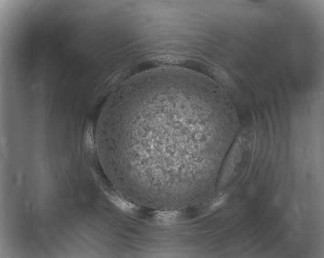 X0000071350143200606261351