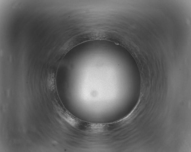 X0000071350144200606261351