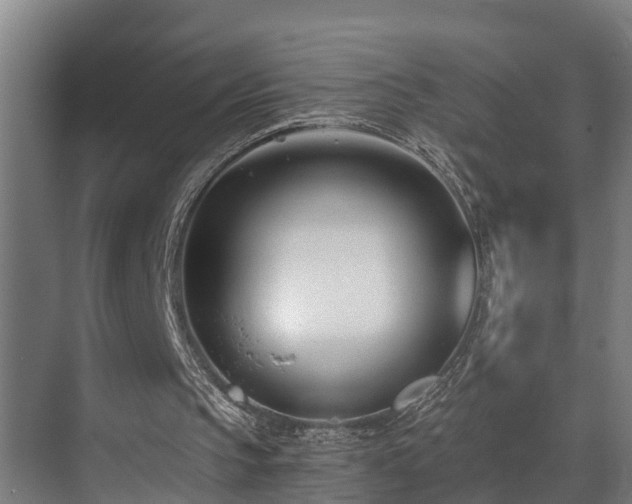 X0000071350145200606261350