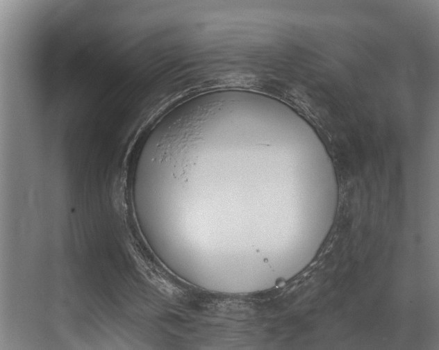 X0000071350146200606261350