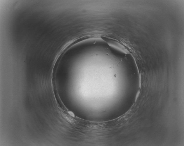 X0000071350147200606261350