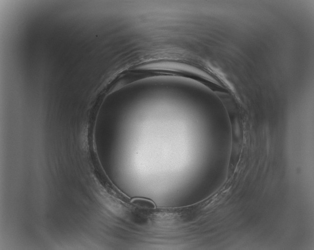 X0000071350154200606261351