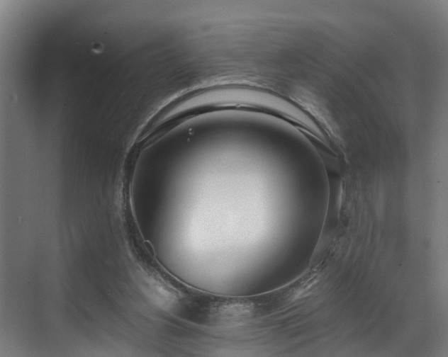 X0000071350156200606261351