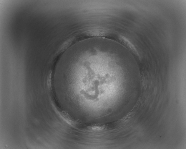 X0000071350163200606261351