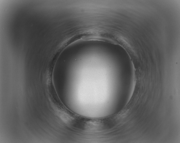 X0000071350164200606261351