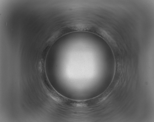 X0000071350165200606261351