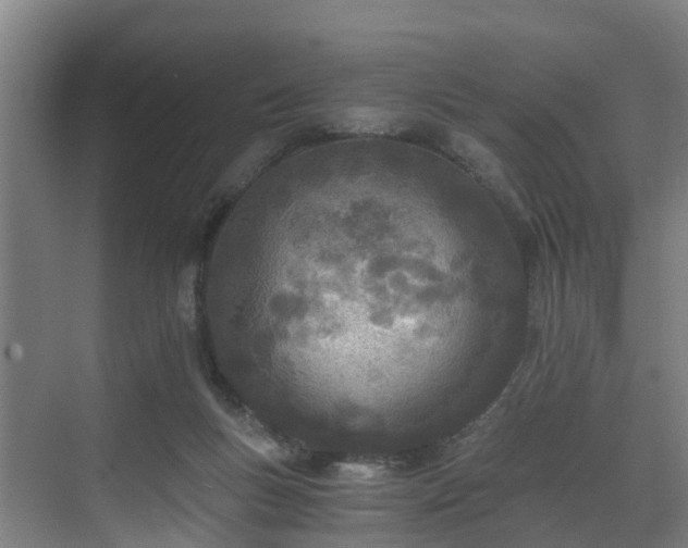 X0000071350167200606261351